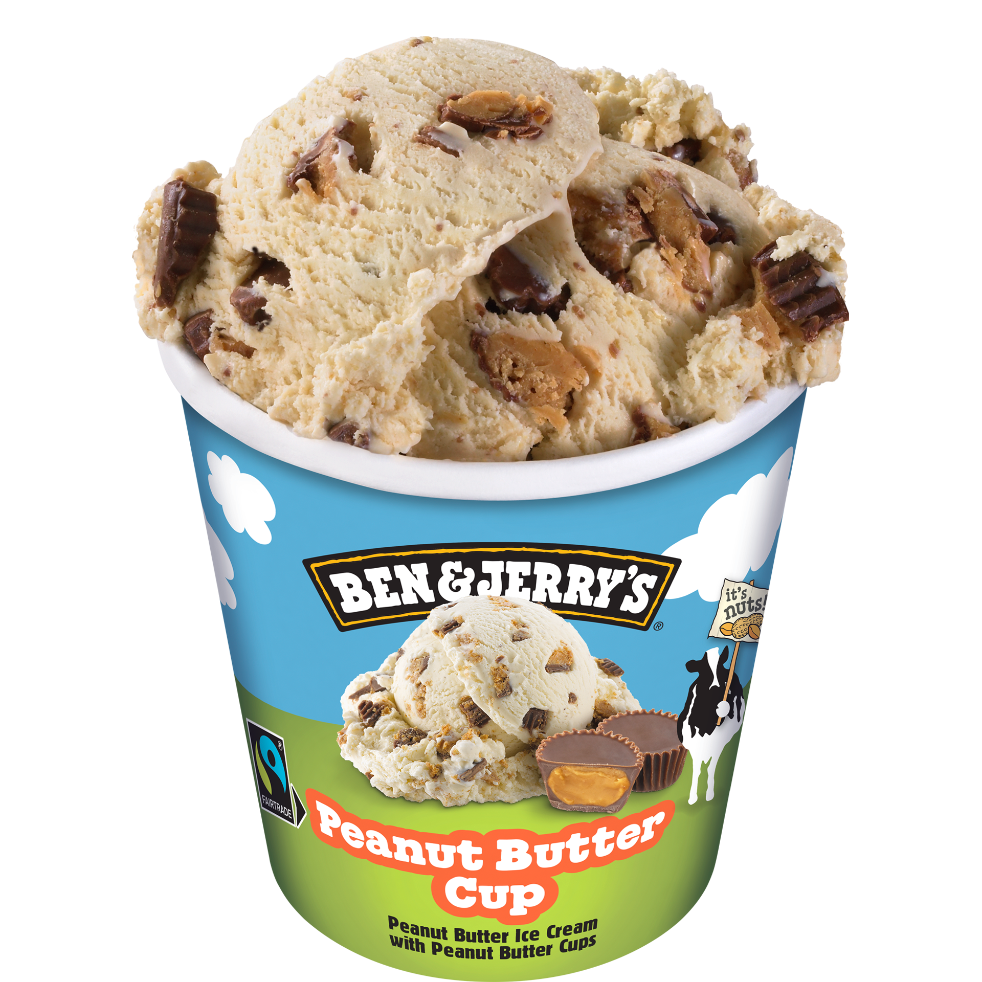 Peanut Butter Cup Original Ice Cream Pots