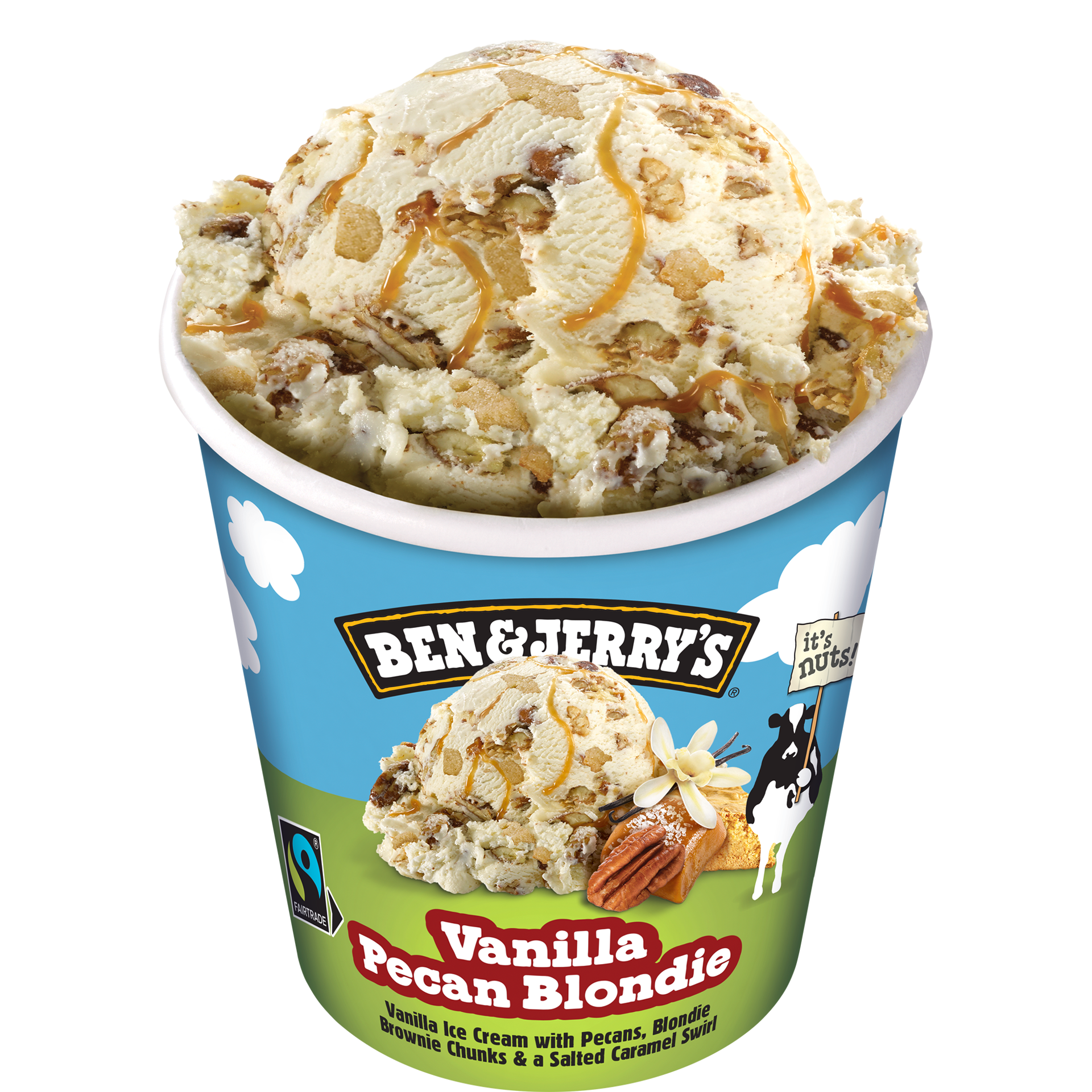 Vanilla Pecan Blondie Glacee - Tub