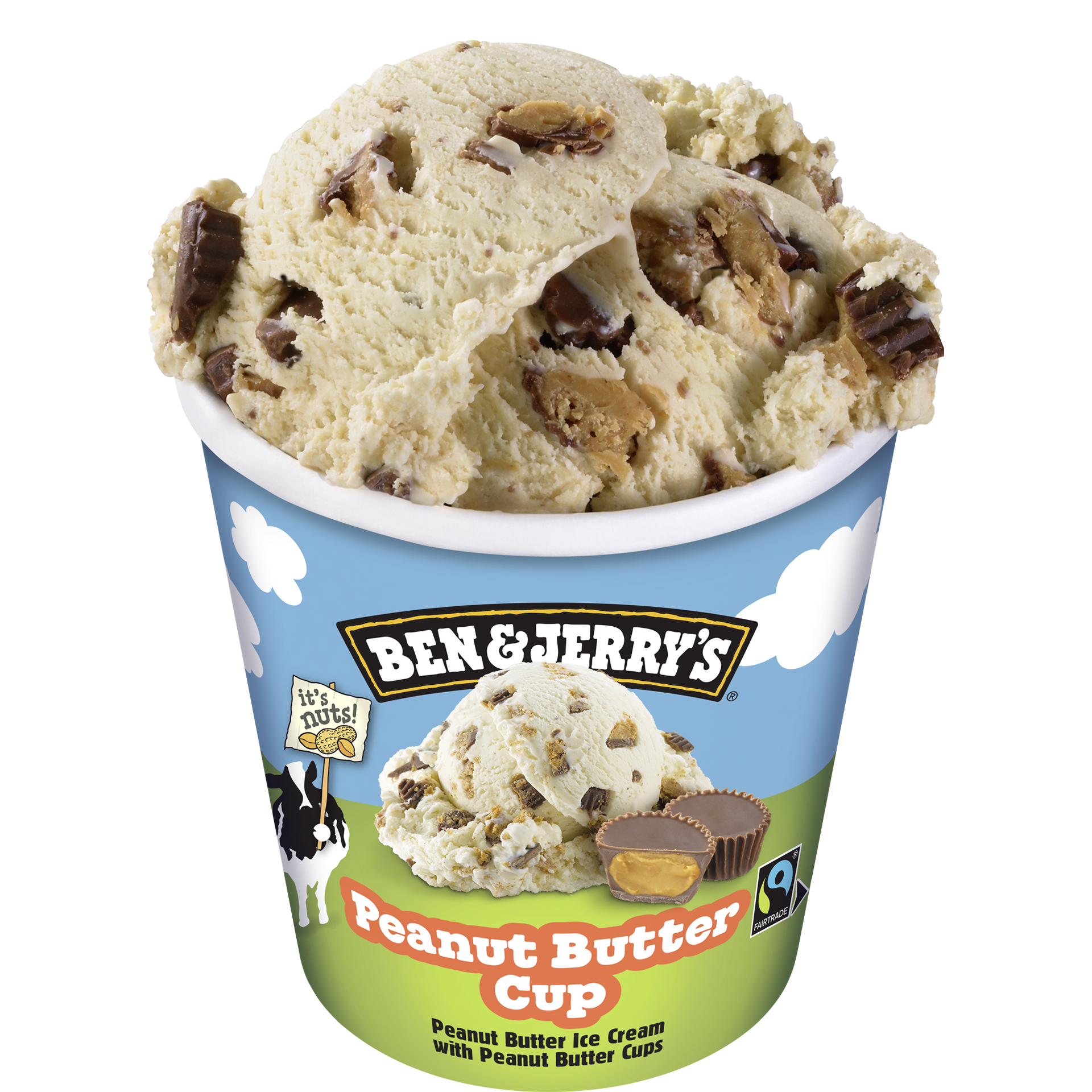 Peanut Butter Cup Original Ice Cream Pots