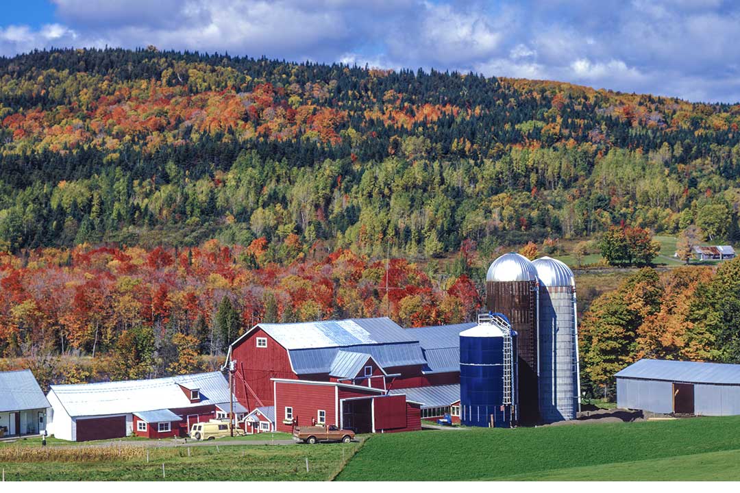 Une ferme laitière